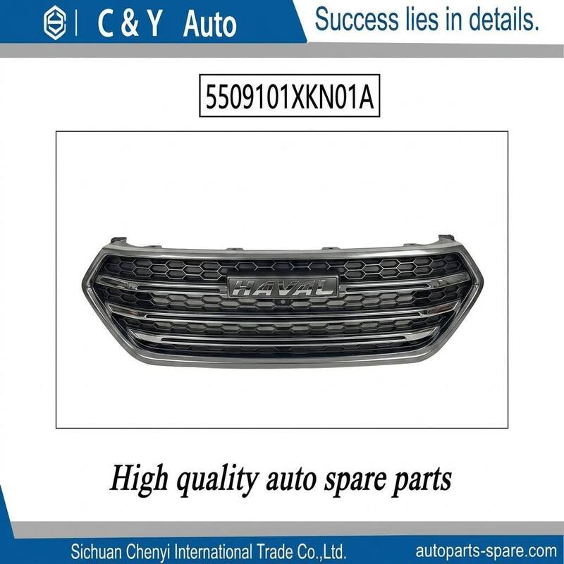 ABS Front Radiator Grille Assembly BMW Gray OEM 5509101XKN01A For HAVAL H6